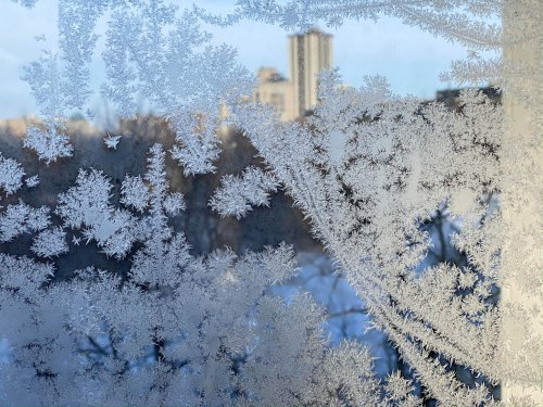 Frosty windows overlooking the Assiniboine River.